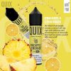 Pineapple Lemonade by Quix 2 Pineapple Lemonade by Quix