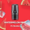 Watermelon Mint