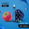 Blue Raspberry 2500 by Vudu 1 Blue Raspberry 2500 by Vudu