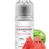 500x700 10ml Watermelon Ice