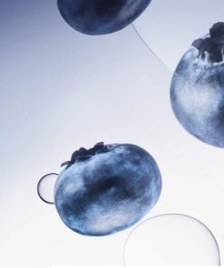 Blueberry Alien Pods by SnowPlus 1 blueberry alien pods 1 1